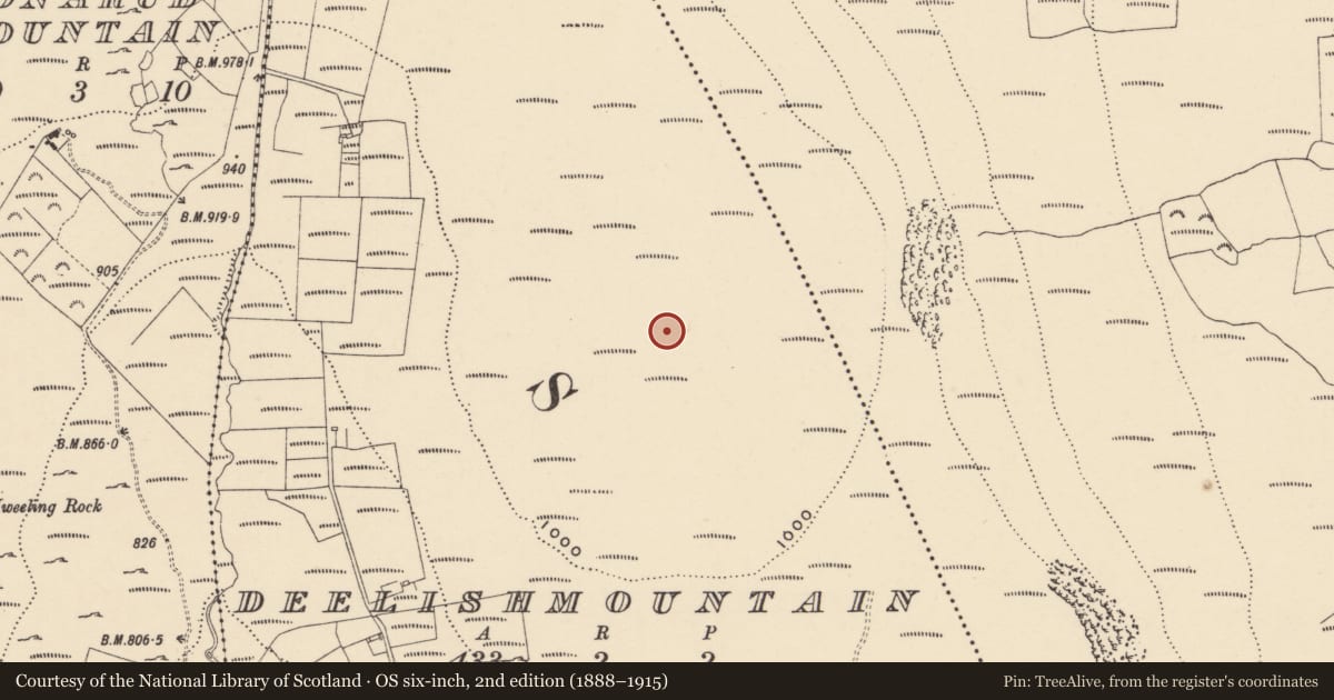 Ordnance Survey six-inch map, 2nd edition (1888–1915) covering the location of Cairn - unclassified, Deelishmountain, County Waterford, with a pin at the register's coordinates