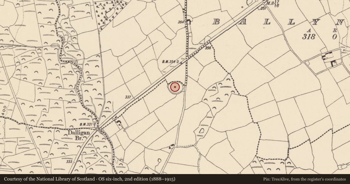 Ordnance Survey six-inch map, 2nd edition (1888–1915) covering the location of Enclosure, Carrigeennageragh Big, Shanbally, County Waterford, with a pin at the register's coordinates
