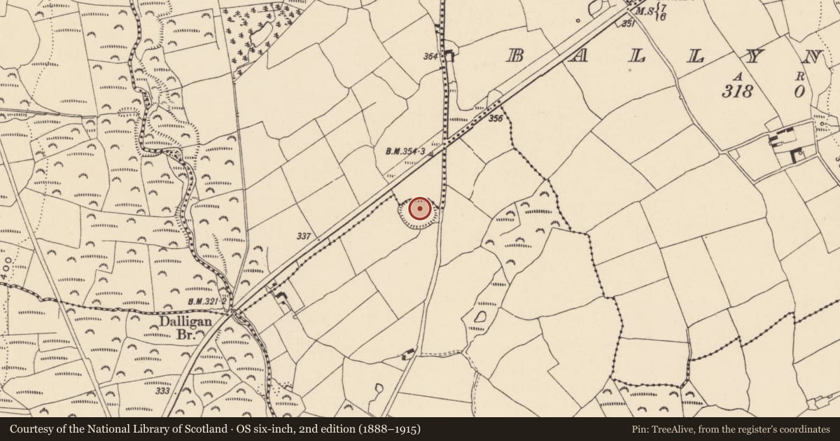 Ordnance Survey six-inch map, 2nd edition (1888–1915) covering the location of Bullaun stone, Shanbally, County Waterford, with a pin at the register's coordinates