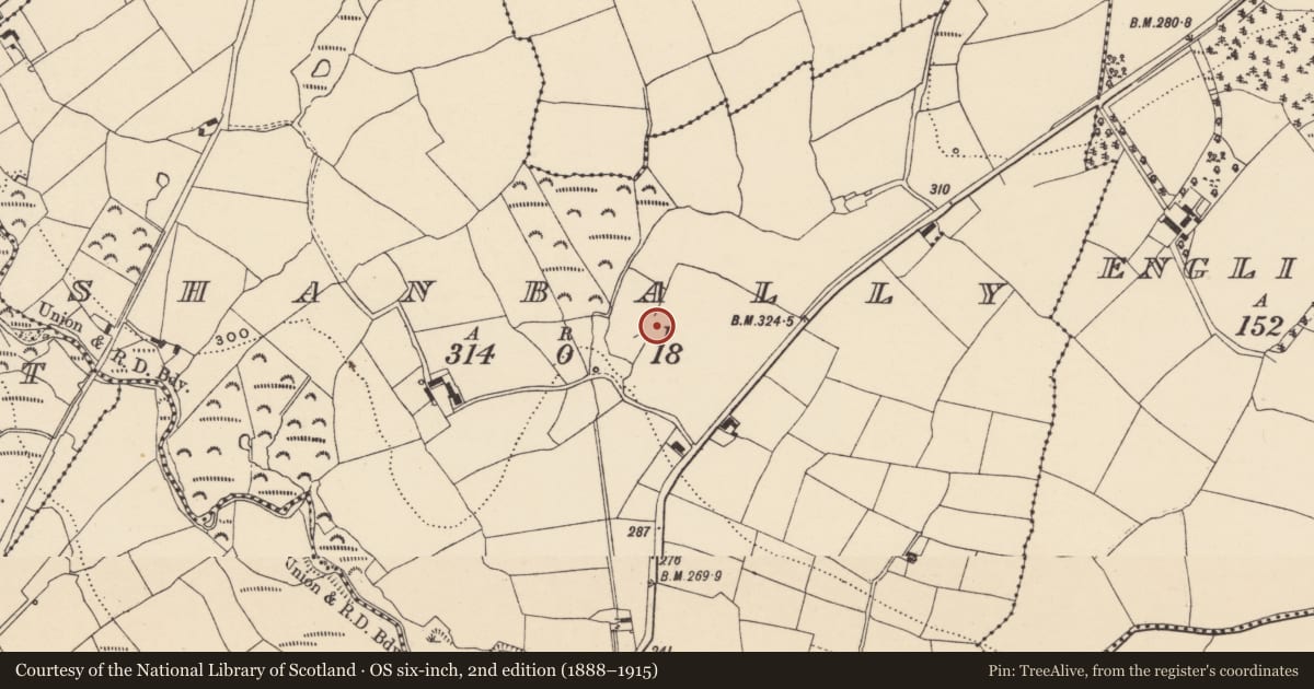 Ordnance Survey six-inch map, 2nd edition (1888–1915) covering the location of Church, Shanbally, County Waterford, with a pin at the register's coordinates