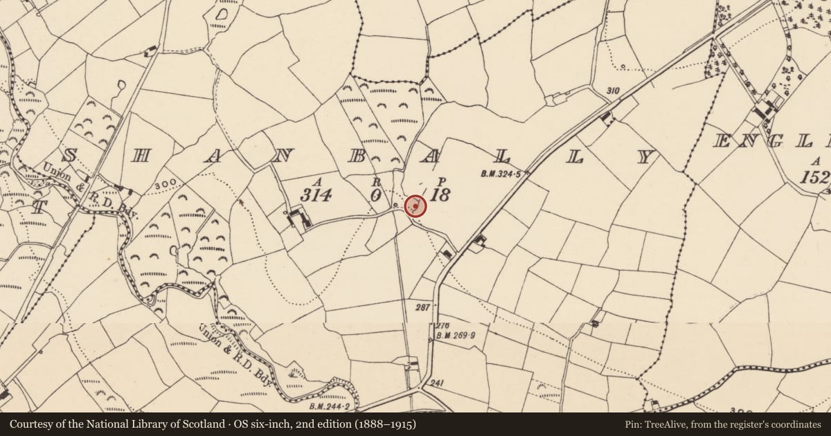 Ordnance Survey six-inch map, 2nd edition (1888–1915) covering the location of Bullaun stone, Shanbally, County Waterford, with a pin at the register's coordinates