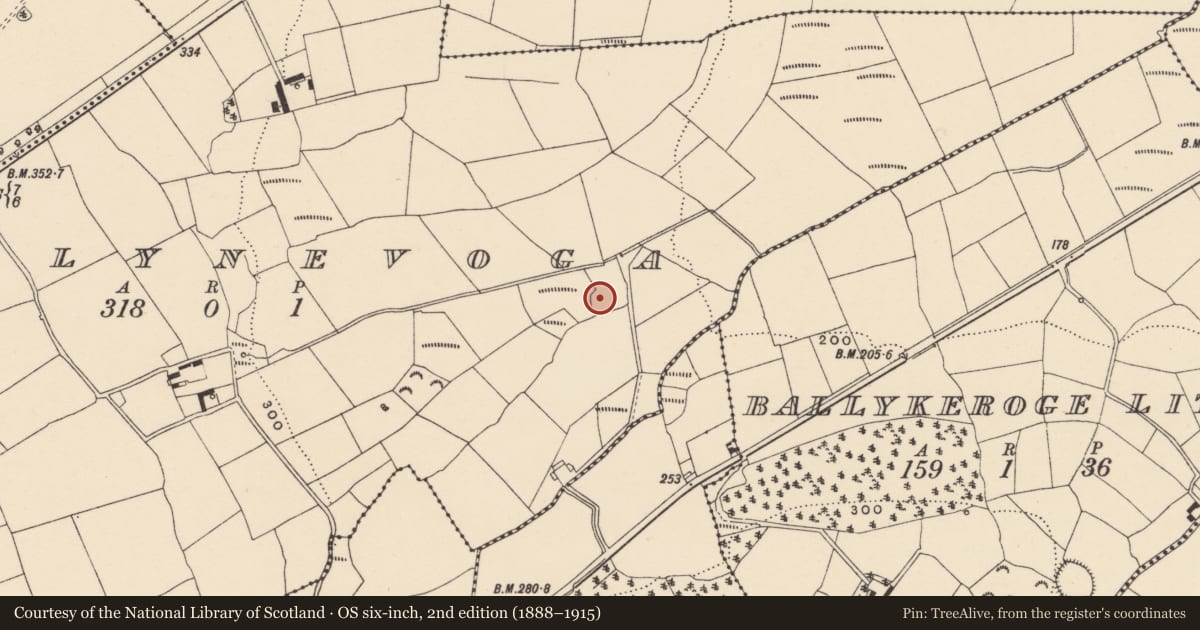 Ordnance Survey six-inch map, 2nd edition (1888–1915) covering the location of Ringfort - unclassified, Ballynevoga, County Waterford, with a pin at the register's coordinates