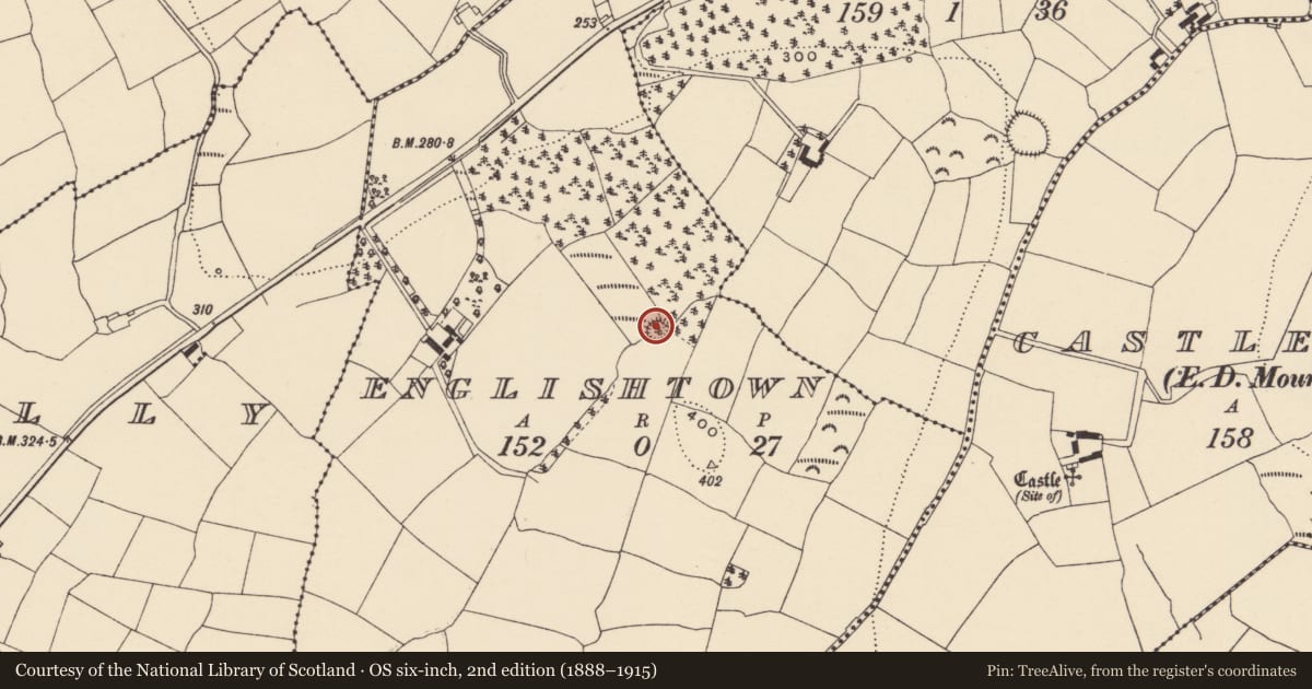 Ordnance Survey six-inch map, 2nd edition (1888–1915) covering the location of Ringfort - rath, Englishtown, County Waterford, with a pin at the register's coordinates