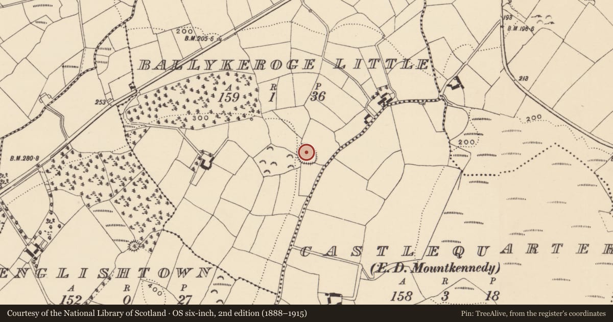 Ordnance Survey six-inch map, 2nd edition (1888–1915) covering the location of Ringfort - rath, Ballykeroge Little, County Waterford, with a pin at the register's coordinates