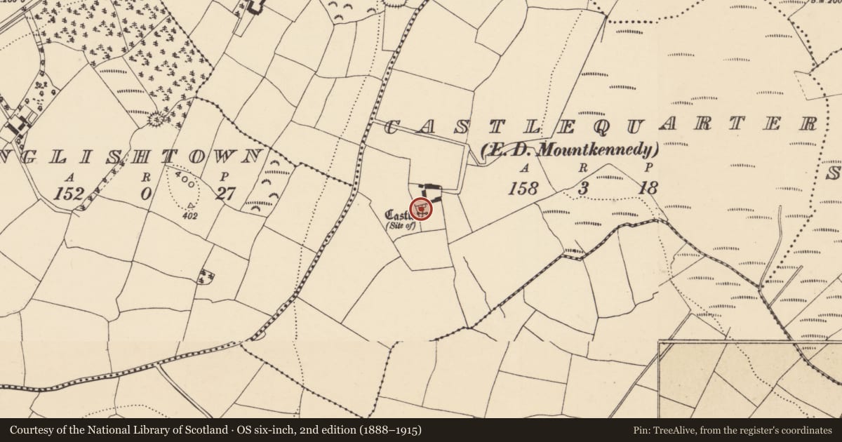 Ordnance Survey six-inch map, 2nd edition (1888–1915) covering the location of Castle - tower house, Castlequarter (Decies without Drum By., Kilrossanty Par.), County Waterford, with a pin at the register's coordinates