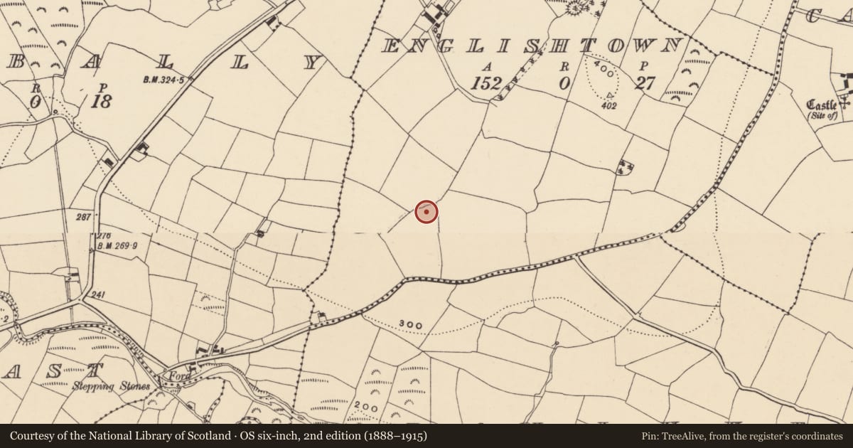 Ordnance Survey six-inch map, 2nd edition (1888–1915) covering the location of Bullaun stone, Englishtown, County Waterford, with a pin at the register's coordinates