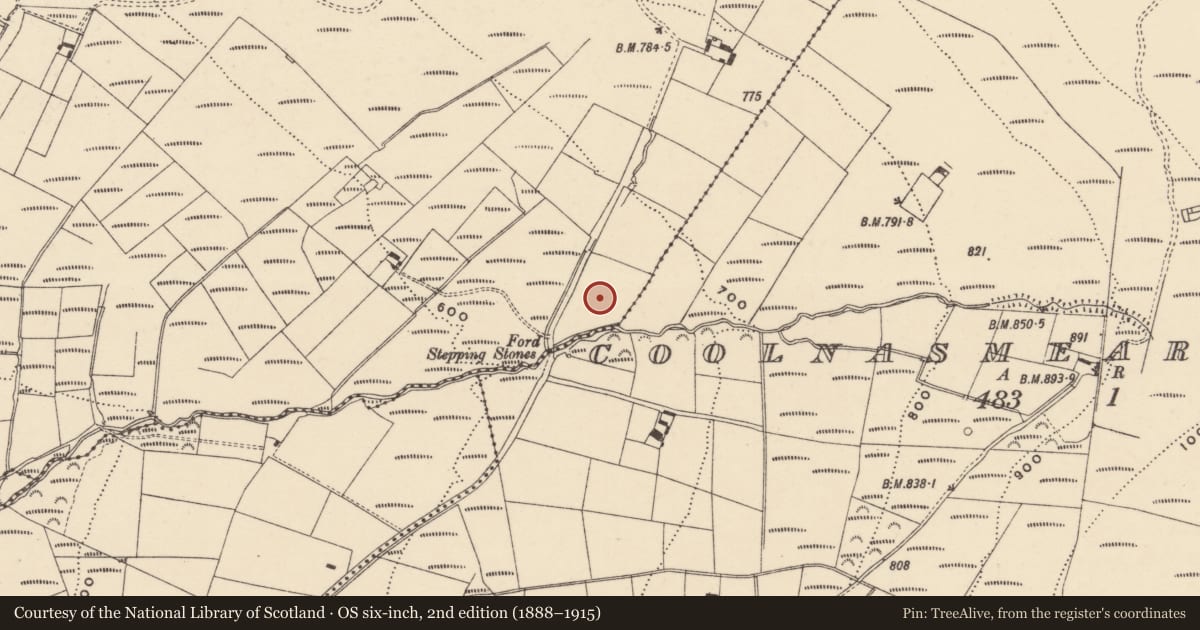 Ordnance Survey six-inch map, 2nd edition (1888–1915) covering the location of Standing stone, Bohadoon Mountain, County Waterford, with a pin at the register's coordinates
