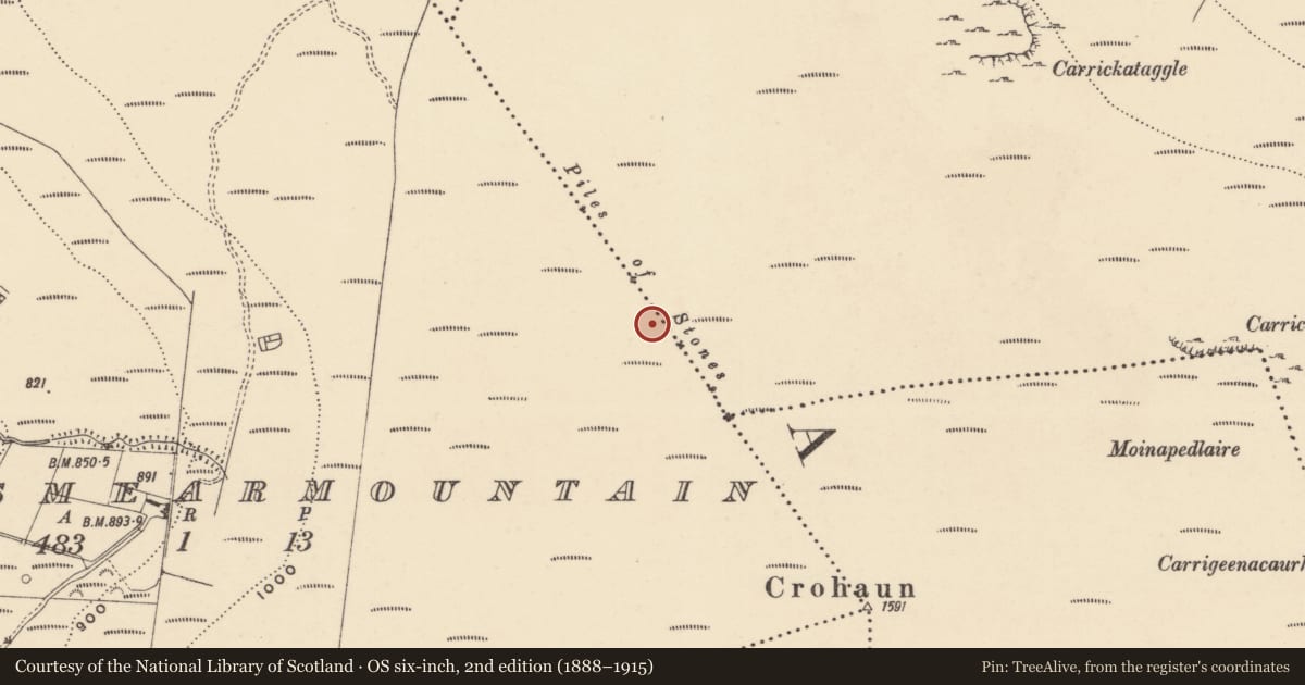 Ordnance Survey six-inch map, 2nd edition (1888–1915) covering the location of Cairn - boundary cairn, Coolnasmearmountain, Glendalligan, County Waterford, with a pin at the register's coordinates
