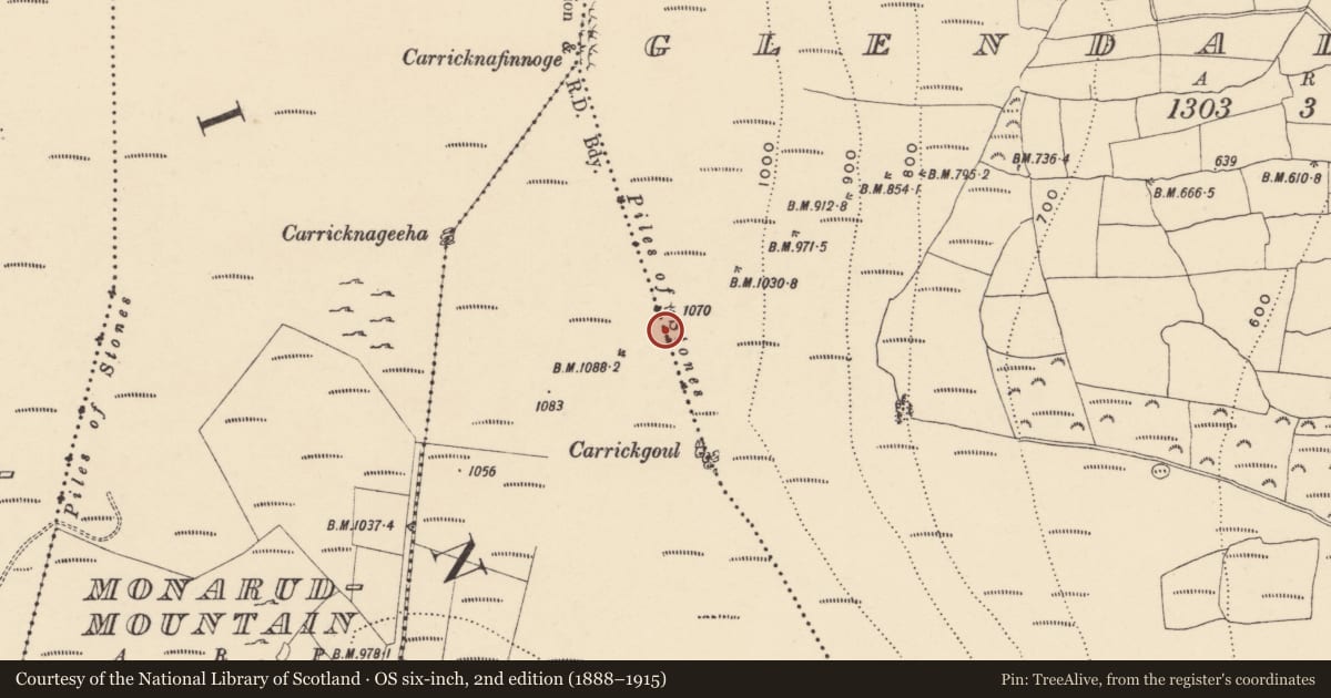 Ordnance Survey six-inch map, 2nd edition (1888–1915) covering the location of Cairn - boundary cairn, Glendalligan, Deelishmountain, County Waterford, with a pin at the register's coordinates