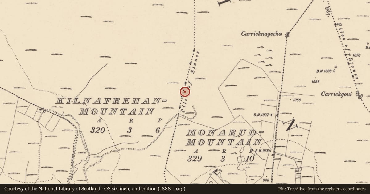 Ordnance Survey six-inch map, 2nd edition (1888–1915) covering the location of Cairn - boundary cairn, Kilnafrehanmountain, Monarudmountain, County Waterford, with a pin at the register's coordinates