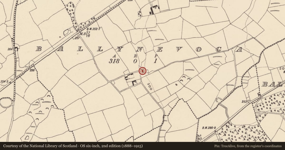 Ordnance Survey six-inch map, 2nd edition (1888–1915) covering the location of Burnt mound, Ballynevoga, County Waterford, with a pin at the register's coordinates