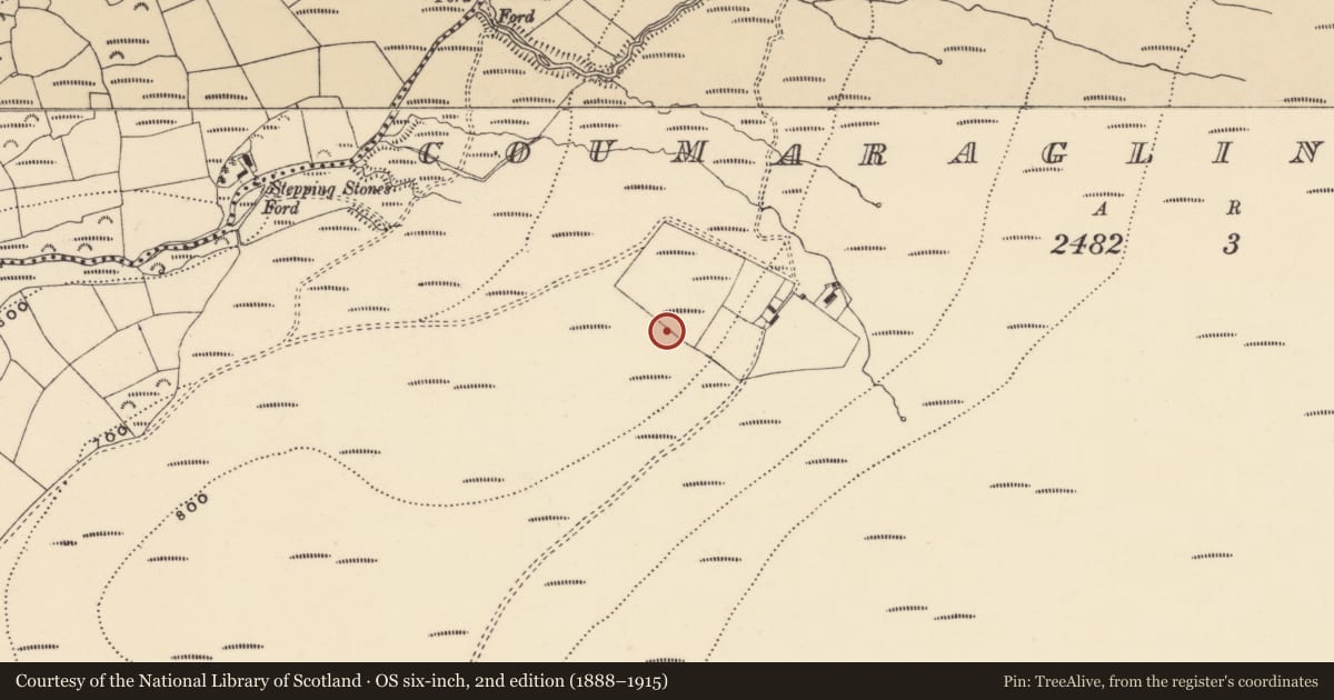 Ordnance Survey six-inch map, 2nd edition (1888–1915) covering the location of Standing stone, Coumaraglinmountain, County Waterford, with a pin at the register's coordinates