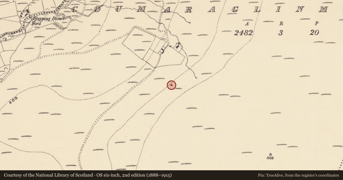 Ordnance Survey six-inch map, 2nd edition (1888–1915) covering the location of Enclosure, Coumaraglinmountain, County Waterford, with a pin at the register's coordinates