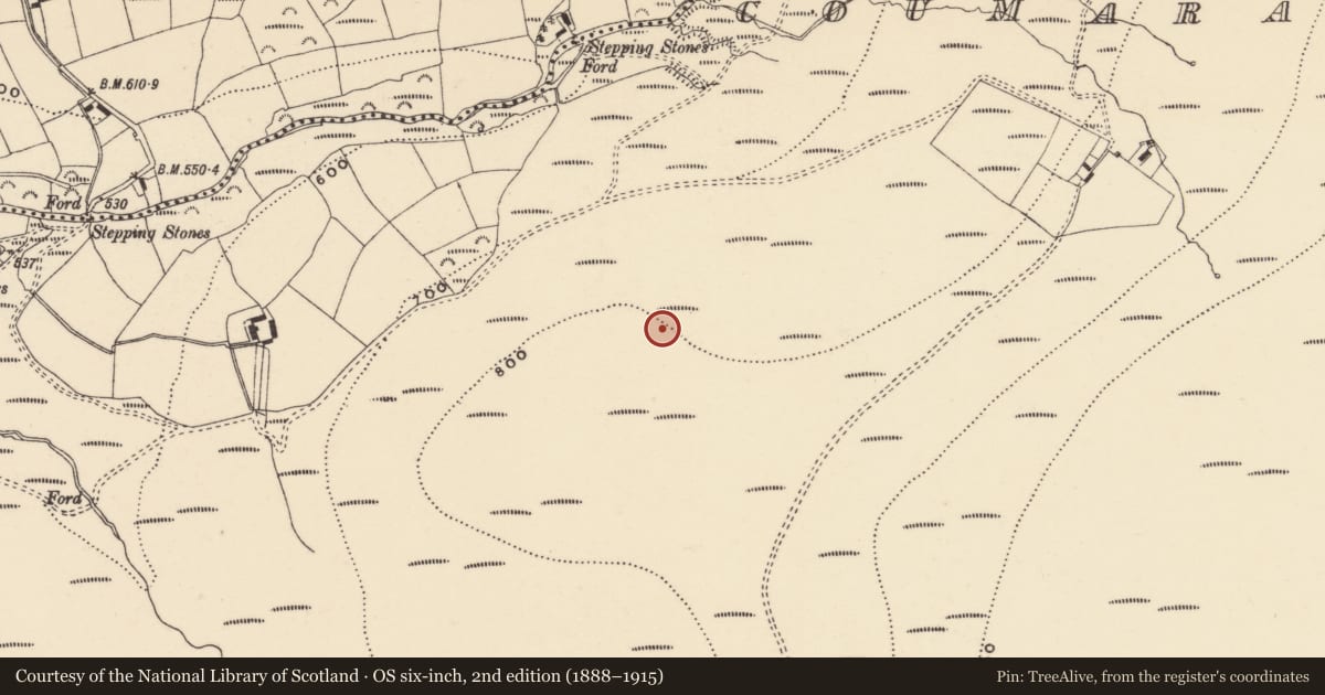Ordnance Survey six-inch map, 2nd edition (1888–1915) covering the location of Kerb circle, Coumaraglinmountain, County Waterford, with a pin at the register's coordinates