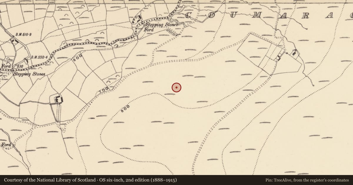 Ordnance Survey six-inch map, 2nd edition (1888–1915) covering the location of Cairn - unclassified, Coumaraglinmountain, County Waterford, with a pin at the register's coordinates