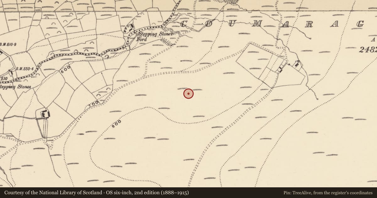 Ordnance Survey six-inch map, 2nd edition (1888–1915) covering the location of Kerb circle, Coumaraglinmountain, County Waterford, with a pin at the register's coordinates