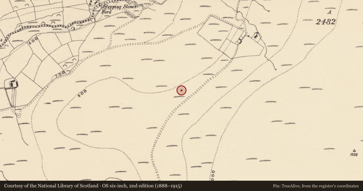 Ordnance Survey six-inch map, 2nd edition (1888–1915) covering the location of Cairnfield, Coumaraglinmountain, County Waterford, with a pin at the register's coordinates