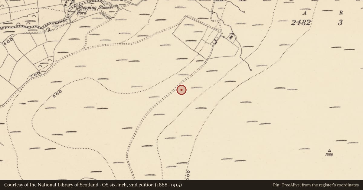 Ordnance Survey six-inch map, 2nd edition (1888–1915) covering the location of Standing stone, Coumaraglinmountain, County Waterford, with a pin at the register's coordinates