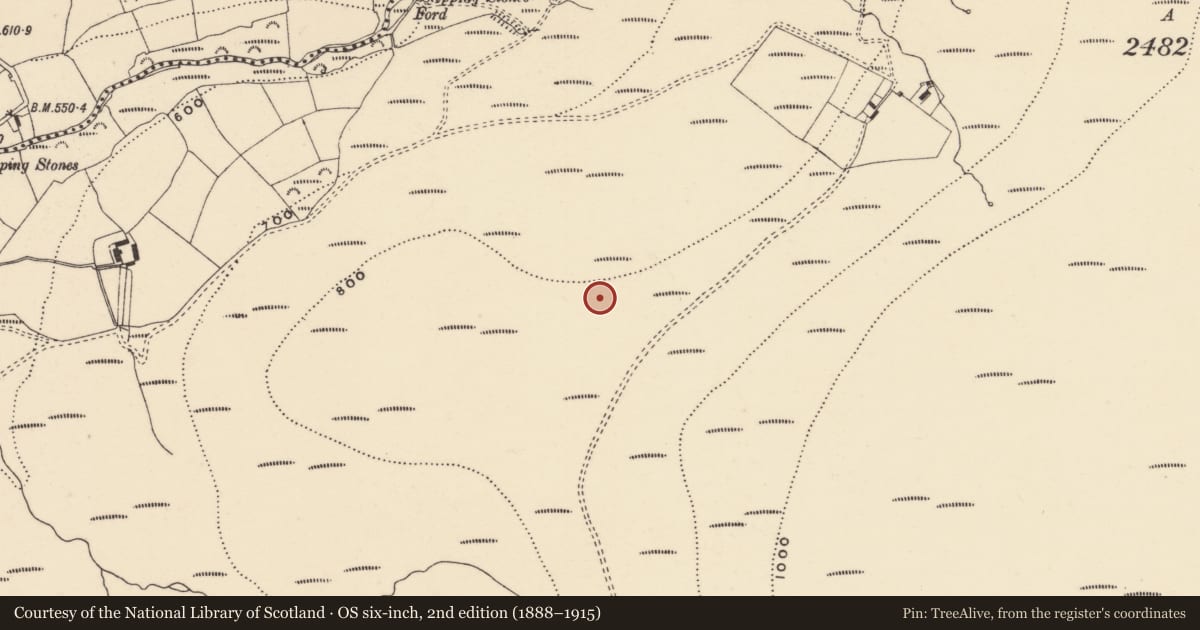 Ordnance Survey six-inch map, 2nd edition (1888–1915) covering the location of Kerb circle, Coumaraglinmountain, County Waterford, with a pin at the register's coordinates
