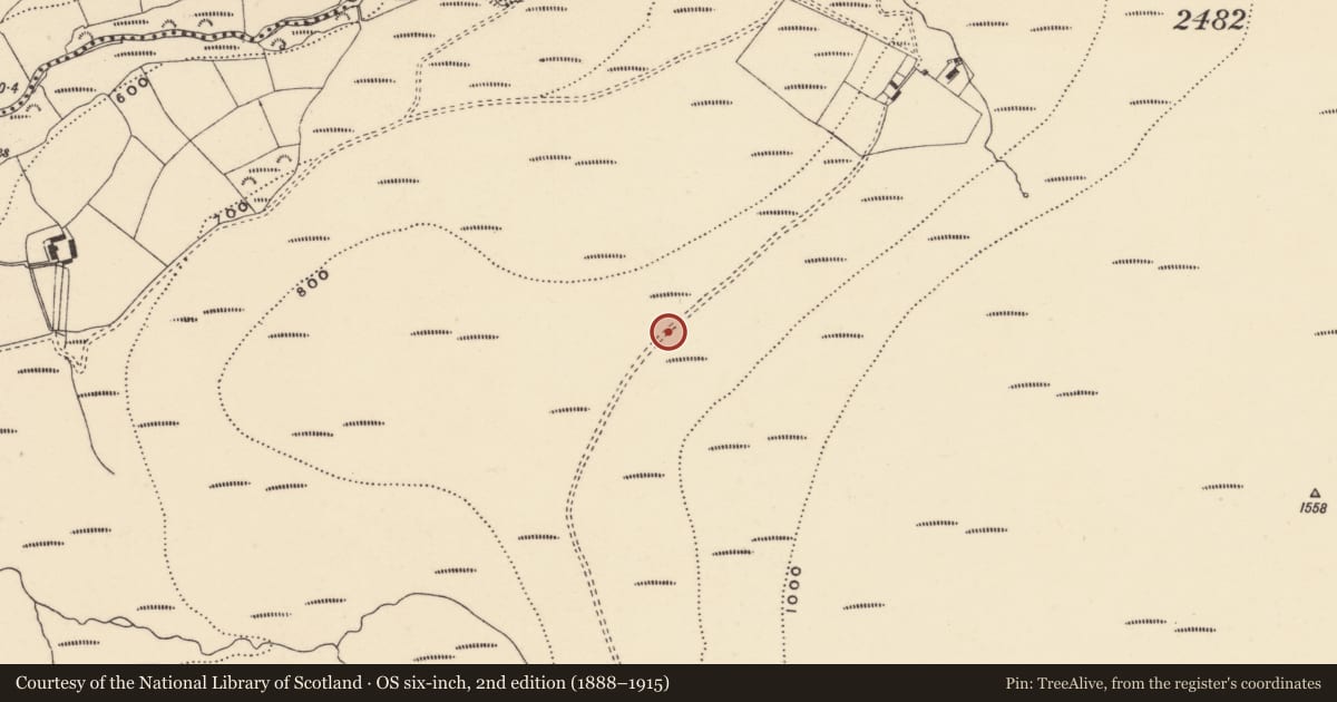 Ordnance Survey six-inch map, 2nd edition (1888–1915) covering the location of Cairn - cairn circle, Coumaraglinmountain, County Waterford, with a pin at the register's coordinates