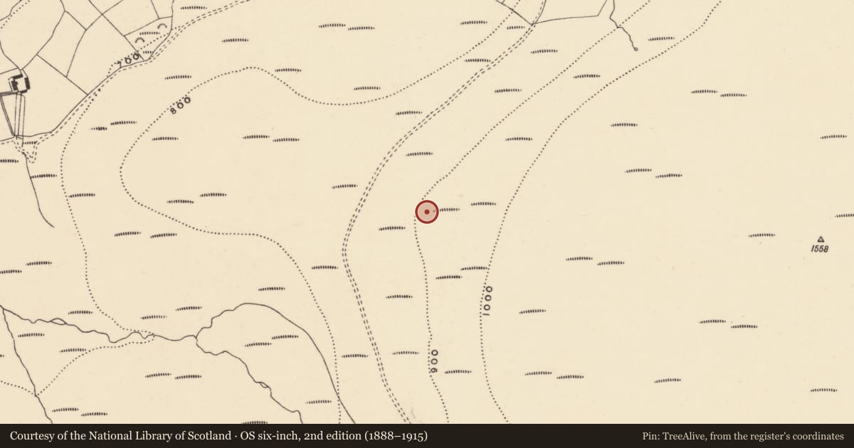 Ordnance Survey six-inch map, 2nd edition (1888–1915) covering the location of Hut site, Coumaraglinmountain, County Waterford, with a pin at the register's coordinates