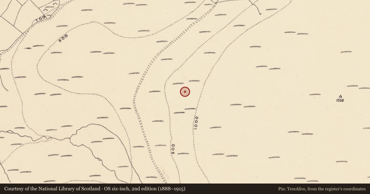 Ordnance Survey six-inch map, 2nd edition (1888–1915) covering the location of Hut site, Coumaraglinmountain, County Waterford, with a pin at the register's coordinates