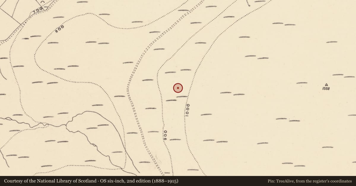 Ordnance Survey six-inch map, 2nd edition (1888–1915) covering the location of Enclosure, Coumaraglinmountain, County Waterford, with a pin at the register's coordinates