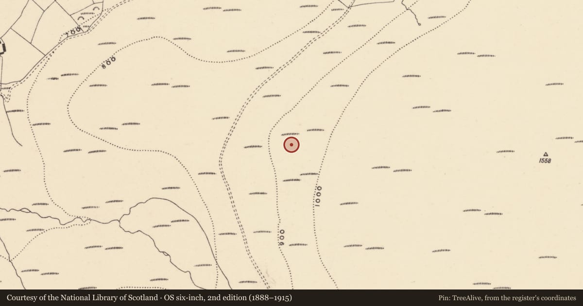 Ordnance Survey six-inch map, 2nd edition (1888–1915) covering the location of Hut site, Coumaraglinmountain, County Waterford, with a pin at the register's coordinates