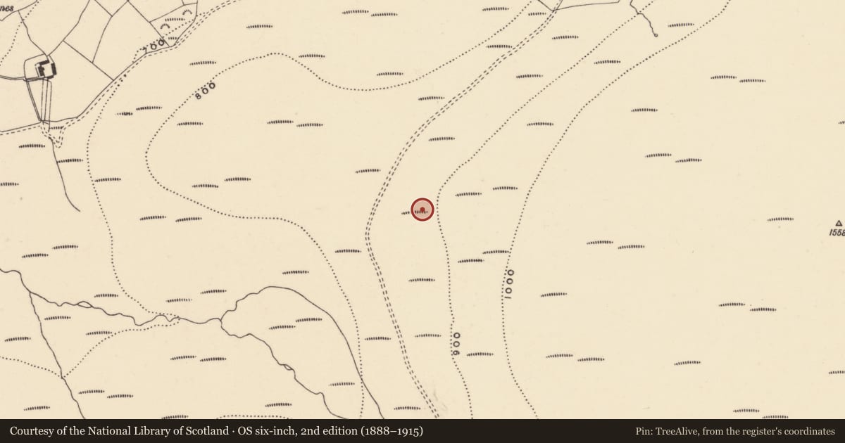 Ordnance Survey six-inch map, 2nd edition (1888–1915) covering the location of Hut site, Coumaraglinmountain, County Waterford, with a pin at the register's coordinates