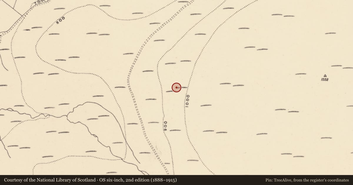 Ordnance Survey six-inch map, 2nd edition (1888–1915) covering the location of Field system, Coumaraglinmountain, County Waterford, with a pin at the register's coordinates
