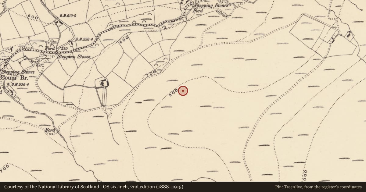 Ordnance Survey six-inch map, 2nd edition (1888–1915) covering the location of Standing stone, Coumaraglinmountain, County Waterford, with a pin at the register's coordinates