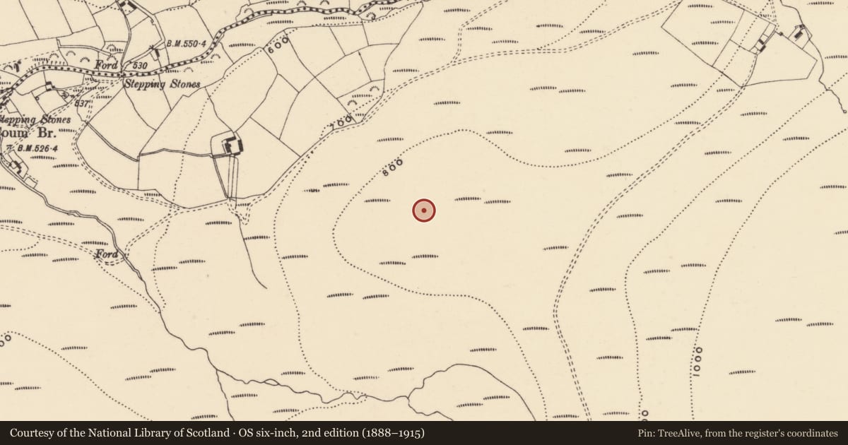 Ordnance Survey six-inch map, 2nd edition (1888–1915) covering the location of Cairn - unclassified, Coumaraglinmountain, County Waterford, with a pin at the register's coordinates