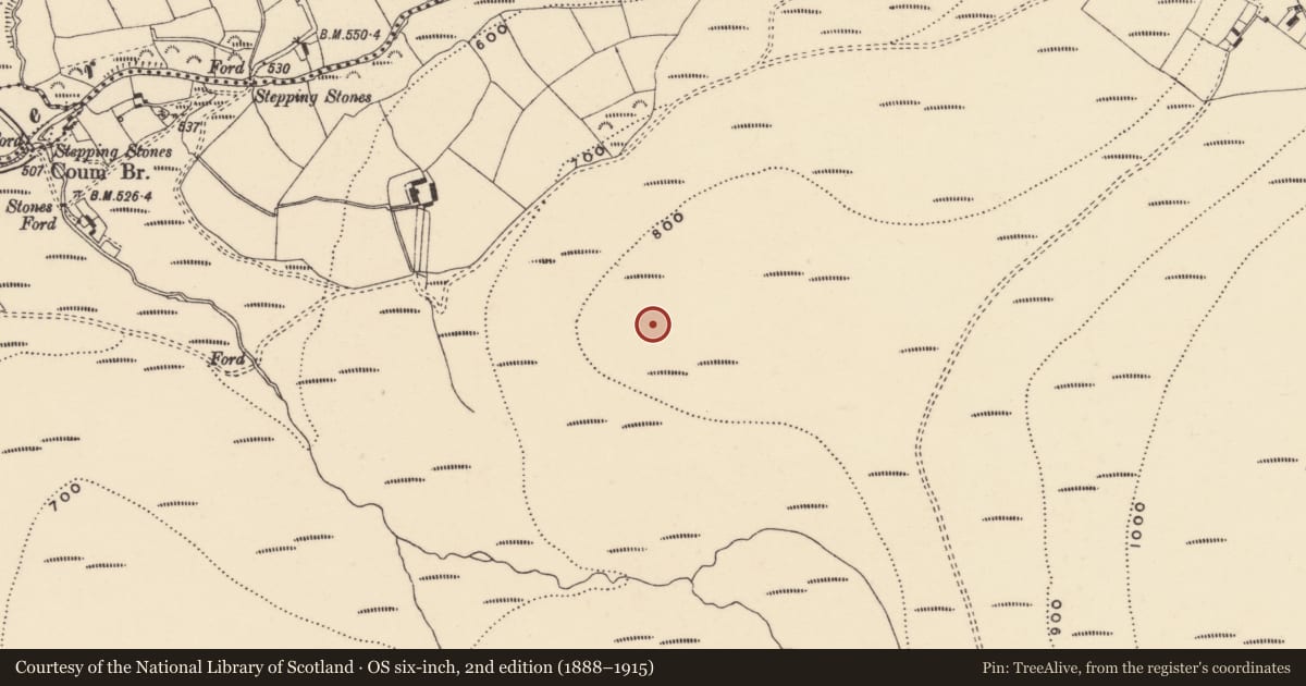 Ordnance Survey six-inch map, 2nd edition (1888–1915) covering the location of Field system, Coumaraglinmountain, County Waterford, with a pin at the register's coordinates