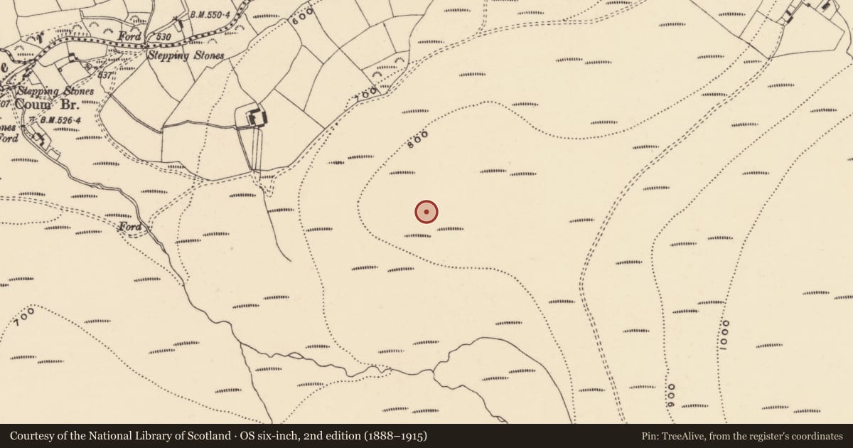 Ordnance Survey six-inch map, 2nd edition (1888–1915) covering the location of Hut site, Coumaraglinmountain, County Waterford, with a pin at the register's coordinates