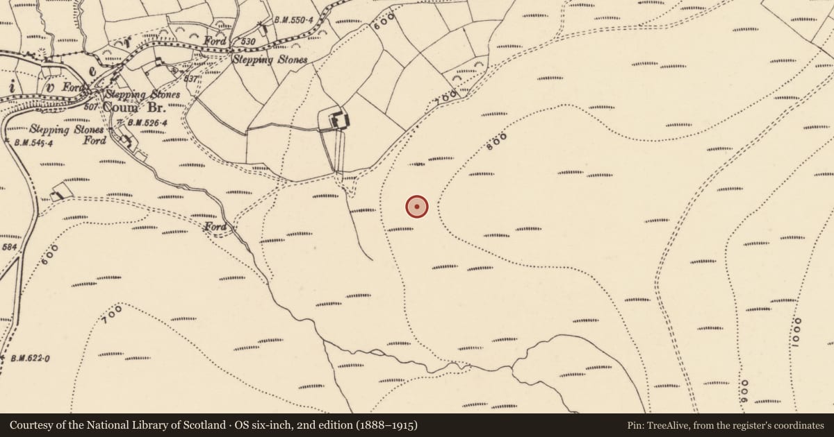 Ordnance Survey six-inch map, 2nd edition (1888–1915) covering the location of Standing stone, Coumaraglinmountain, County Waterford, with a pin at the register's coordinates