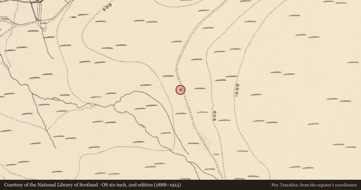 Ordnance Survey six-inch map, 2nd edition (1888–1915) covering the location of Cairn - unclassified, Coumaraglinmountain, County Waterford, with a pin at the register's coordinates