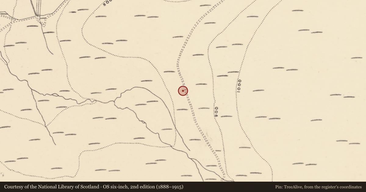 Ordnance Survey six-inch map, 2nd edition (1888–1915) covering the location of Cairn - unclassified, Coumaraglinmountain, County Waterford, with a pin at the register's coordinates