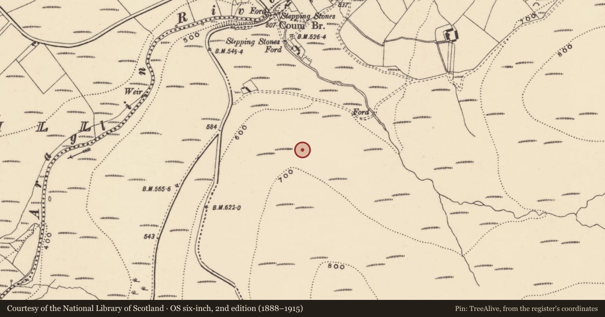 Ordnance Survey six-inch map, 2nd edition (1888–1915) covering the location of Hut site, Coumaraglinmountain, County Waterford, with a pin at the register's coordinates