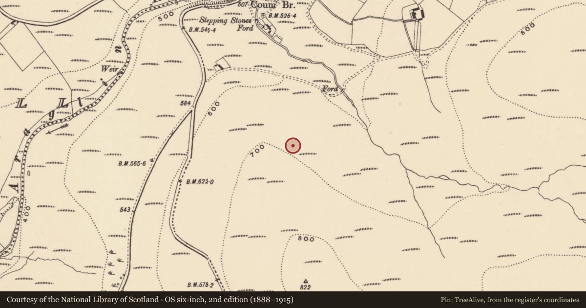 Ordnance Survey six-inch map, 2nd edition (1888–1915) covering the location of Hut site, Coumaraglinmountain, County Waterford, with a pin at the register's coordinates