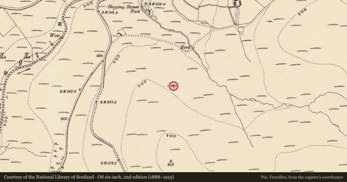 Ordnance Survey six-inch map, 2nd edition (1888–1915) covering the location of Hut site, Coumaraglinmountain, County Waterford, with a pin at the register's coordinates