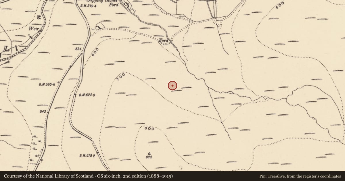 Ordnance Survey six-inch map, 2nd edition (1888–1915) covering the location of Field system, Coumaraglinmountain, County Waterford, with a pin at the register's coordinates