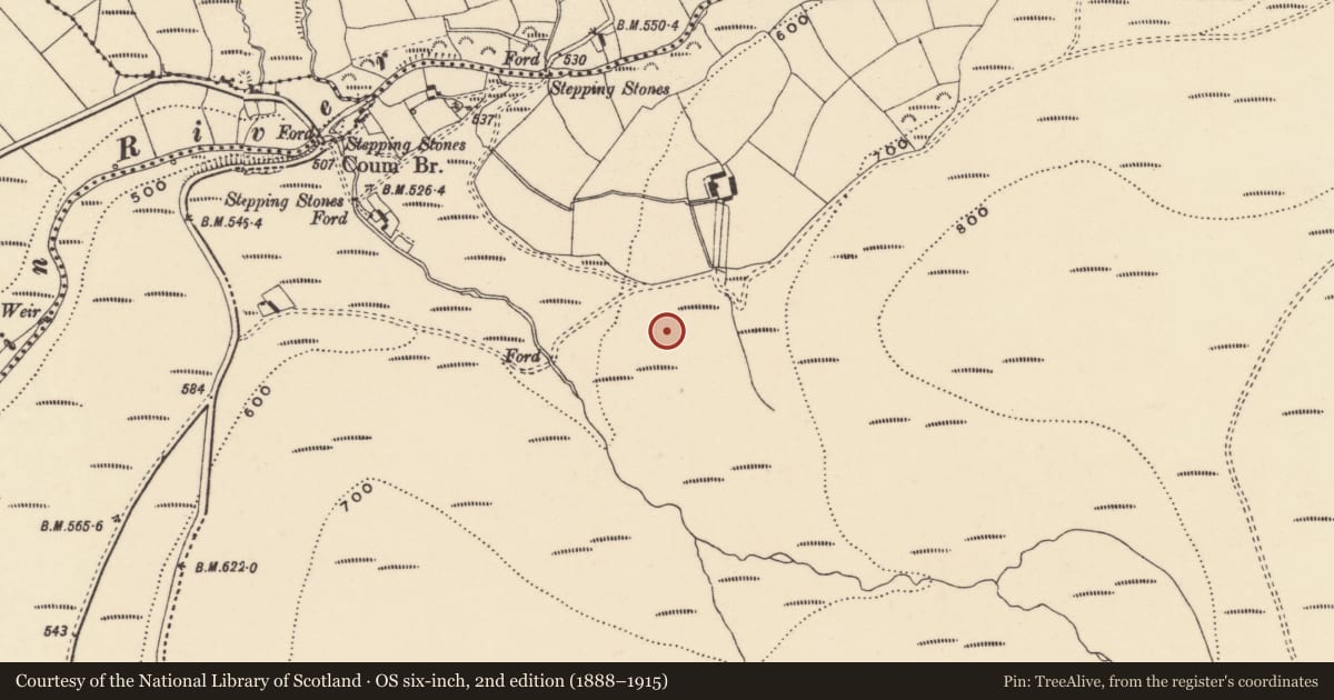 Ordnance Survey six-inch map, 2nd edition (1888–1915) covering the location of Standing stone, Coumaraglinmountain, County Waterford, with a pin at the register's coordinates