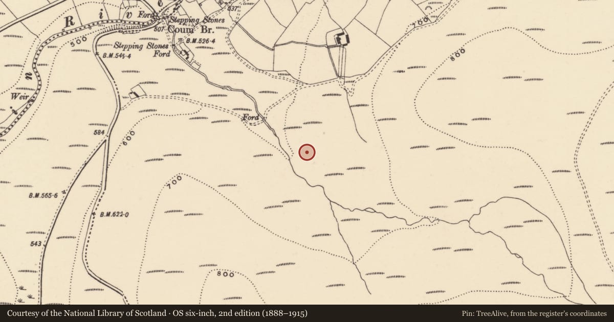 Ordnance Survey six-inch map, 2nd edition (1888–1915) covering the location of Cairnfield, Coumaraglinmountain, County Waterford, with a pin at the register's coordinates