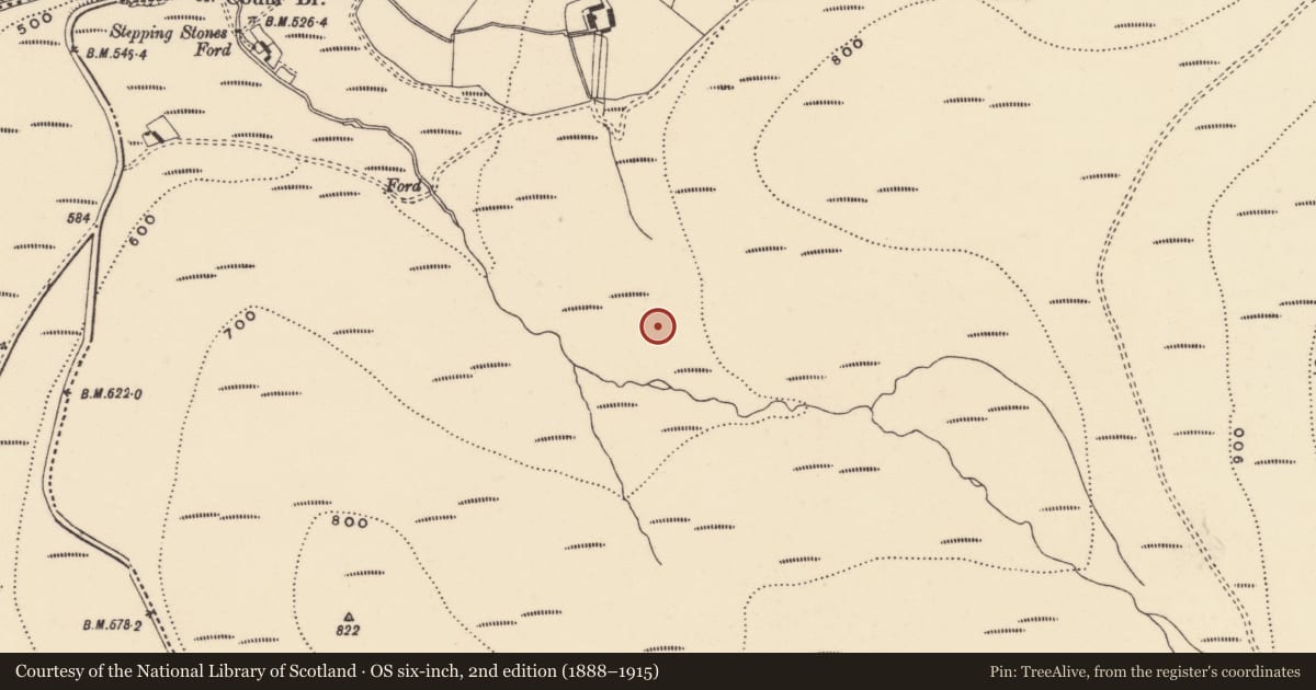 Ordnance Survey six-inch map, 2nd edition (1888–1915) covering the location of Enclosure, Coumaraglinmountain, County Waterford, with a pin at the register's coordinates