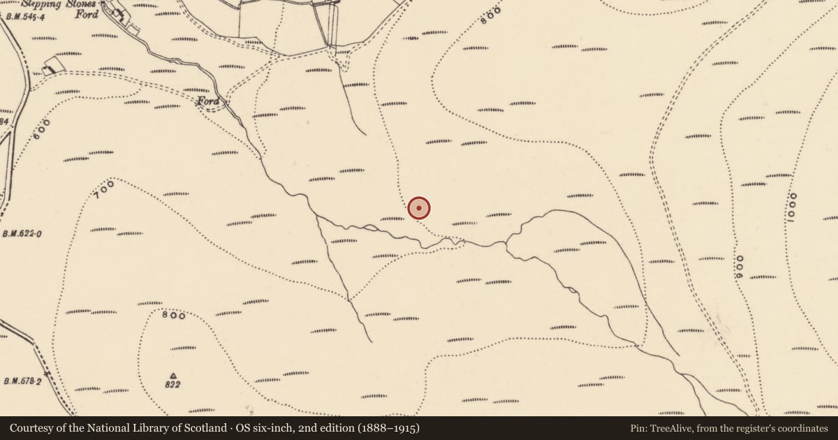 Ordnance Survey six-inch map, 2nd edition (1888–1915) covering the location of Hut site, Coumaraglinmountain, County Waterford, with a pin at the register's coordinates
