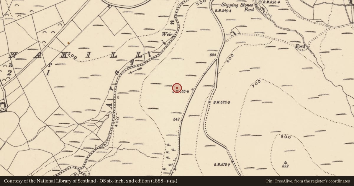 Ordnance Survey six-inch map, 2nd edition (1888–1915) covering the location of Cairnfield, Coumaraglinmountain, County Waterford, with a pin at the register's coordinates