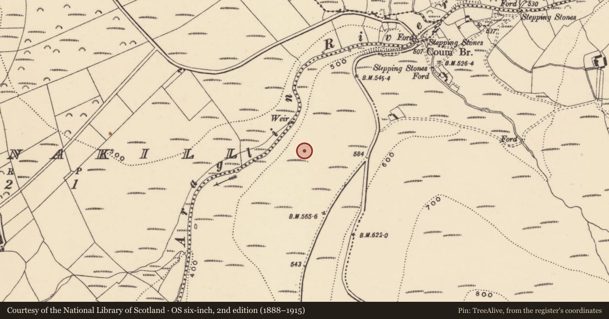 Ordnance Survey six-inch map, 2nd edition (1888–1915) covering the location of Hut site, Coumaraglinmountain, County Waterford, with a pin at the register's coordinates
