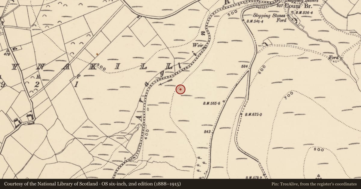 Ordnance Survey six-inch map, 2nd edition (1888–1915) covering the location of Hut site, Coumaraglinmountain, County Waterford, with a pin at the register's coordinates