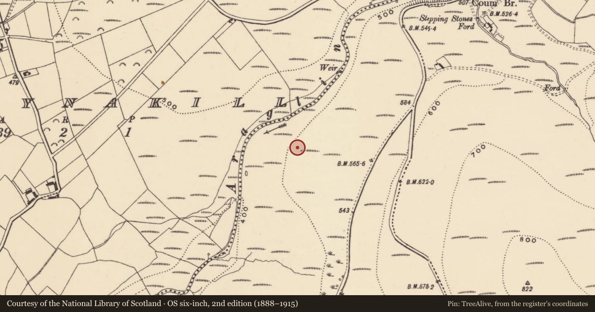 Ordnance Survey six-inch map, 2nd edition (1888–1915) covering the location of Hut site, Coumaraglinmountain, County Waterford, with a pin at the register's coordinates
