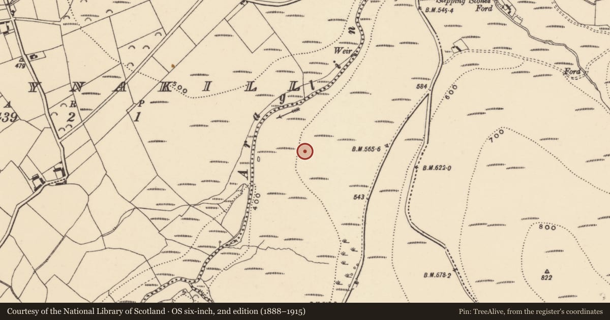 Ordnance Survey six-inch map, 2nd edition (1888–1915) covering the location of Hut site, Coumaraglinmountain, County Waterford, with a pin at the register's coordinates